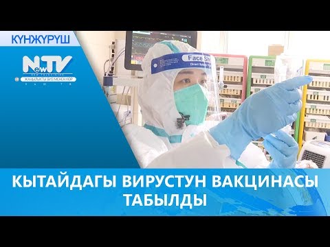 Video: Вирустун тутумун кантип тазалоо керек