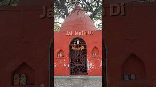 Jai Mata Di #jaihanuman #jaishreeganesha #omnamahshivaya #saraswati #durga #maakali #shakti #viral