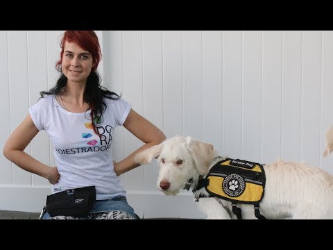 diabetic-alert-dog-trainer-internship-testimonial