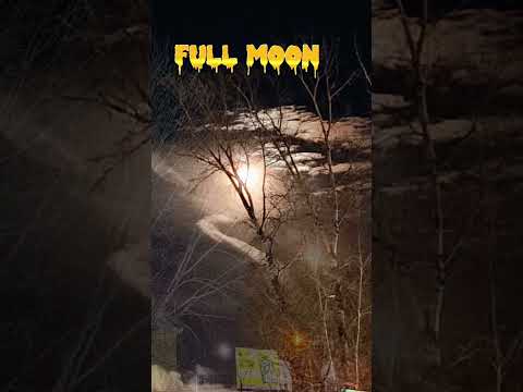 Полнолуние 🌕 #новосибирск