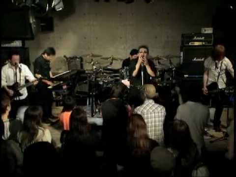 FREEDOM    COMPLEX COVER "NO MORE LIES"
