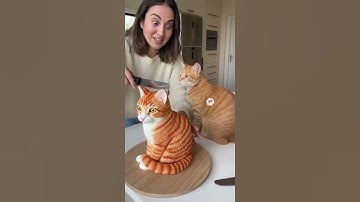 She Cuts a Cat Cake — and the Real Cat Freaks Out! | ‘Calma, é só bolo!