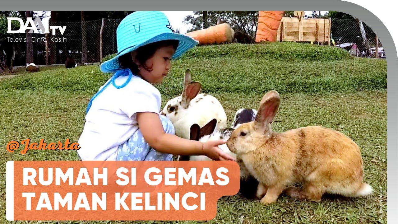 REKOMENDASI TEMPAT WISATA DI AKHIR PEKAN, TAMAN KELINCI | @Jakarta.