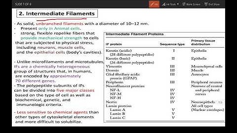 Cytoskeleton part 2| Intermediate filaments| Types and functions