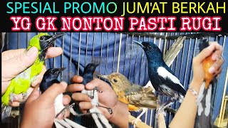 🎉 SPECIAL (PROMO PRICE) BLESSED FRIDAY DISMANTLEMENT OF 500 BIRDS AT THE CHEAP SALE AT THE PRAMUK...