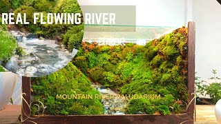 making a river flowing through green mountains| diy river paludarium | aquaterrarium| live diorama