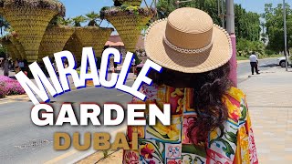 Miracle Garden