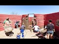 Plaster PARTY! Friends Help Cover Earthbags (Chicken Garden Day 104)