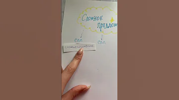 Типы сложных предложений за 1 минуту ✨