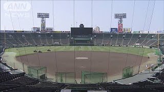 「夏の甲子園」兵庫県の“宣言”受け来場者範囲縮小(2021年8月21日)