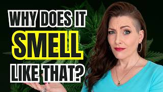 Cannabis Terpenes Explained: How Aroma Shapes Effects (7 Key Terpenes)