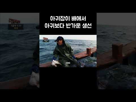 아귀 대신 올라온 보물 같은 생선 #shorts