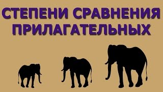 55 Степени сравнения прилагательных 55 Степени сравнения прилагательных