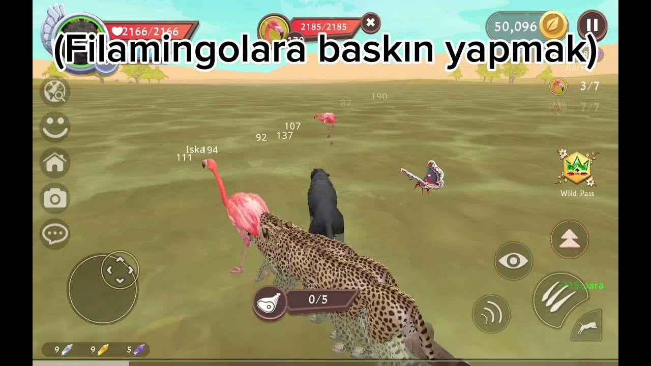Görevleri yapıyorum!👀 (Part 1)