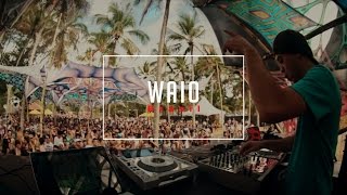 Shambhala & Dream Vision 2015 | Waio | By Up Audiovisual