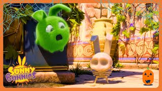 Sunny Bunnies - Laberinto | Dibujos animados para niños pequeños | WildBrain Para os Pequeninos