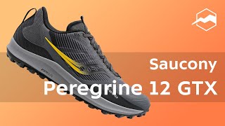 Кроссовки Saucony Peregrine 12 GTX. Обзор