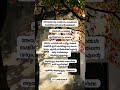 പി പത്മരാജൻ || P Padmarajan #malayalamaudiobook #malayalamcherukathakal #aksharamedia #malayalam