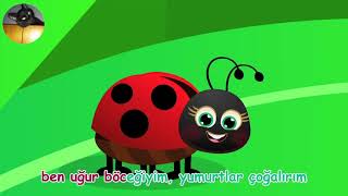 Uğur böceği şarkıları Prens Yankı TV