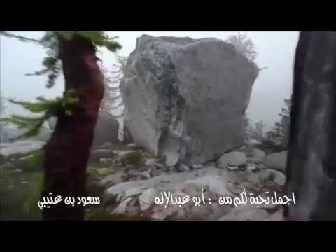 مجالسي لشاعر عبدالواحد الزهراني والشاعر معيض العمري صوت عبدالله الشبرقي 