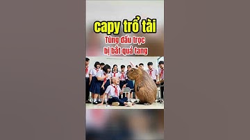 capybara trổ tài làm thám tử tìm thủ phạm trộm bút của các bạn trong lóp - Tùng đầu trọc