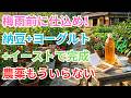 【99%の家庭菜園が知らない】梅雨に入ってからでは遅い!納豆とヨーグルトとイーストで今すぐ仕込む魔法の液体|たった1本で病気も害虫も全部解決します