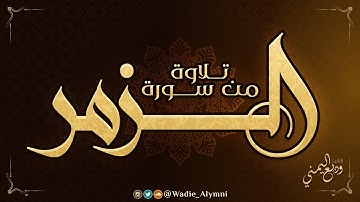 تلاوة من سورة الزمر | الشيخ وديع اليمني