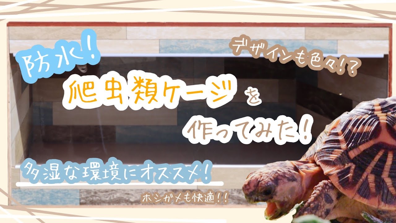 DIY】防水性の高い爬虫類ケージの作り方 - YouTube