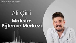 Ali Çini | Lirayı Bozdurayım | 2023 | Resimi