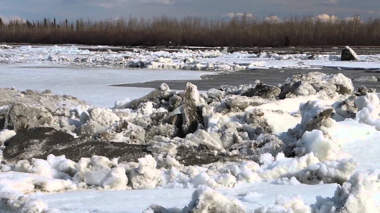 Tanana River ice breaking up at Fairbanks YouTube