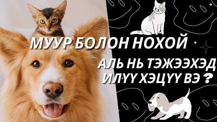 МУУР болон НОХОЙ аль нь тэжээхэд илүү хэцүү вэ ?