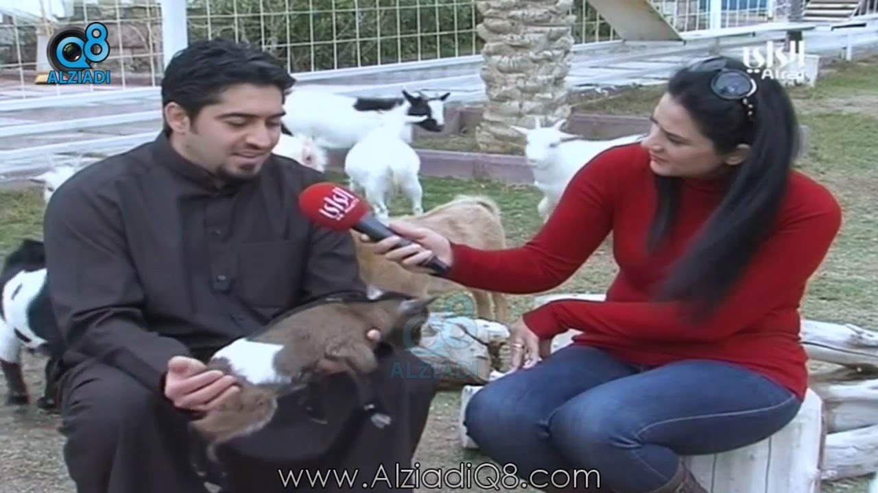 تقرير قناة الراي عن تربية «الماعز القزم» في الكويت