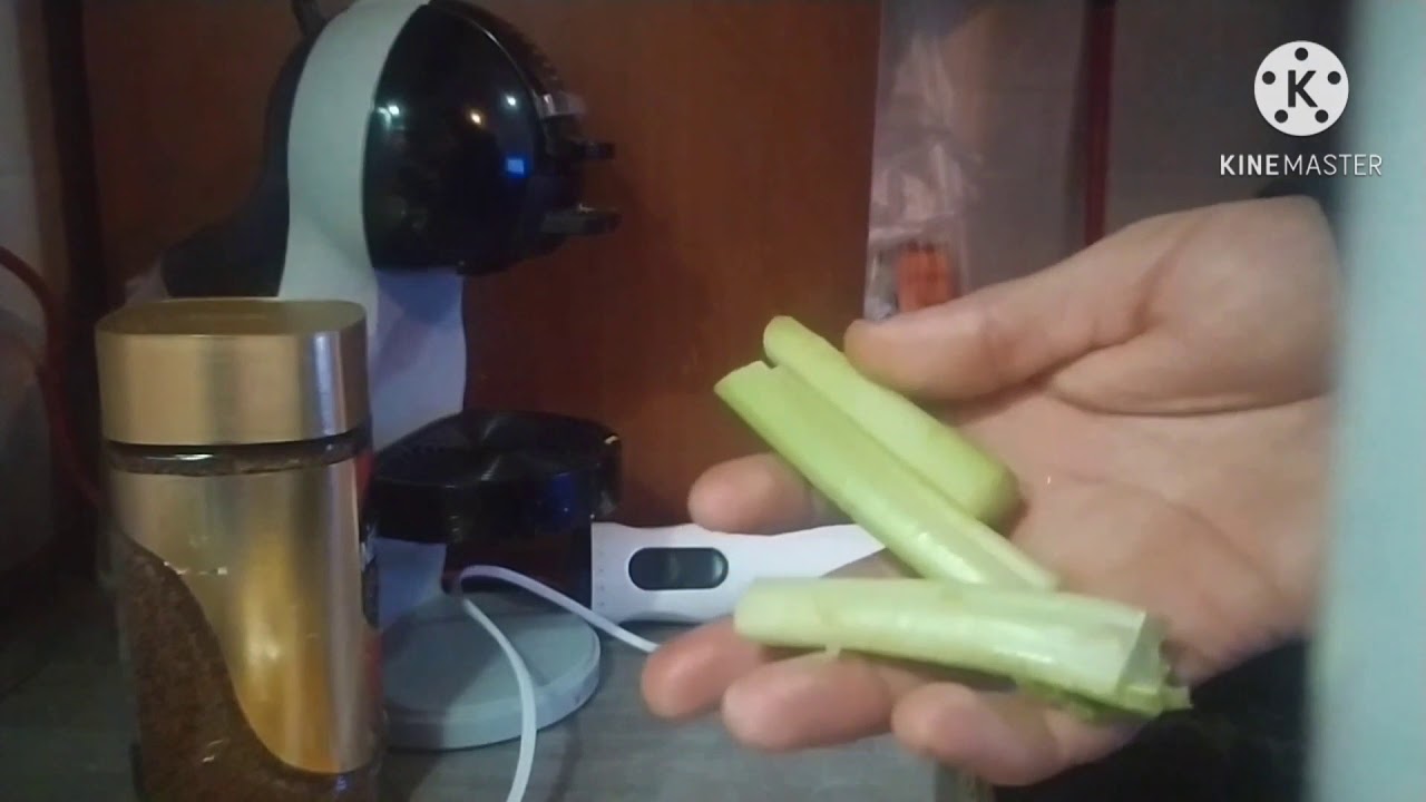 cura al fegato naturale Cardellini Canarini