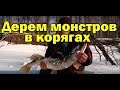 ЗИМНЯЯ РЫБАЛКА НА ВИБ. ТОП САМЫХ крупных трофеев на виб.