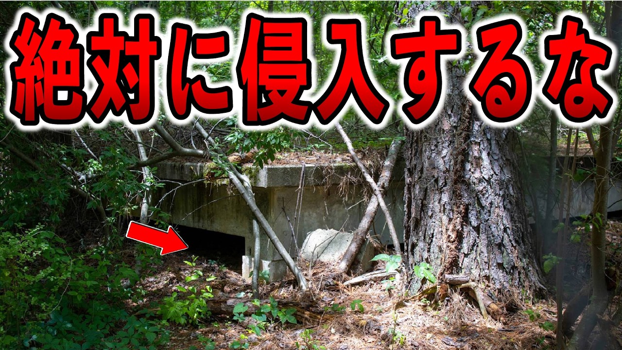 水没した地下核施設ダイビングの恐怖 絶対に潜るな！【ゆっくり解説】【GNAL】