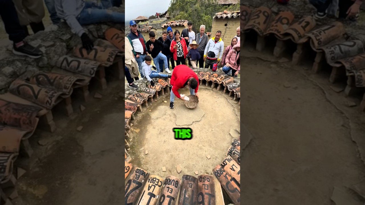 RABBIT DECIDES WHO WINS 🐇💸