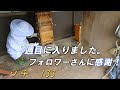 [素人が蜂を飼う　⑬]　　やはり蜂さんが優先の生活。蜂さん入居して7週目になりました。防護服も作業しやすく工夫。（大したことしてない）(;^^)ﾍ..ソチのてしごと　＃133