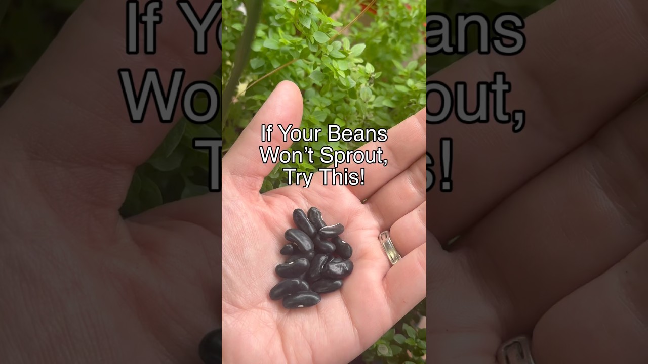 Uploads from From Seed to Spoon Garden Planning App