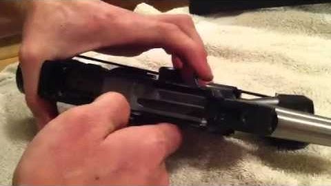Ruger 10/22 bolt & trigger disassembly