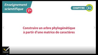 Enseignement scientifique Tle - Méthodes : comment construire un arbre phylogénétique ?