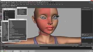 FaceSetup Net Worth