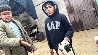 Mashaallah Ajwa Na Baby Da Dia