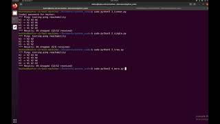 Famous Mininet Lab 4 [Coding WIth Python] Net Worth