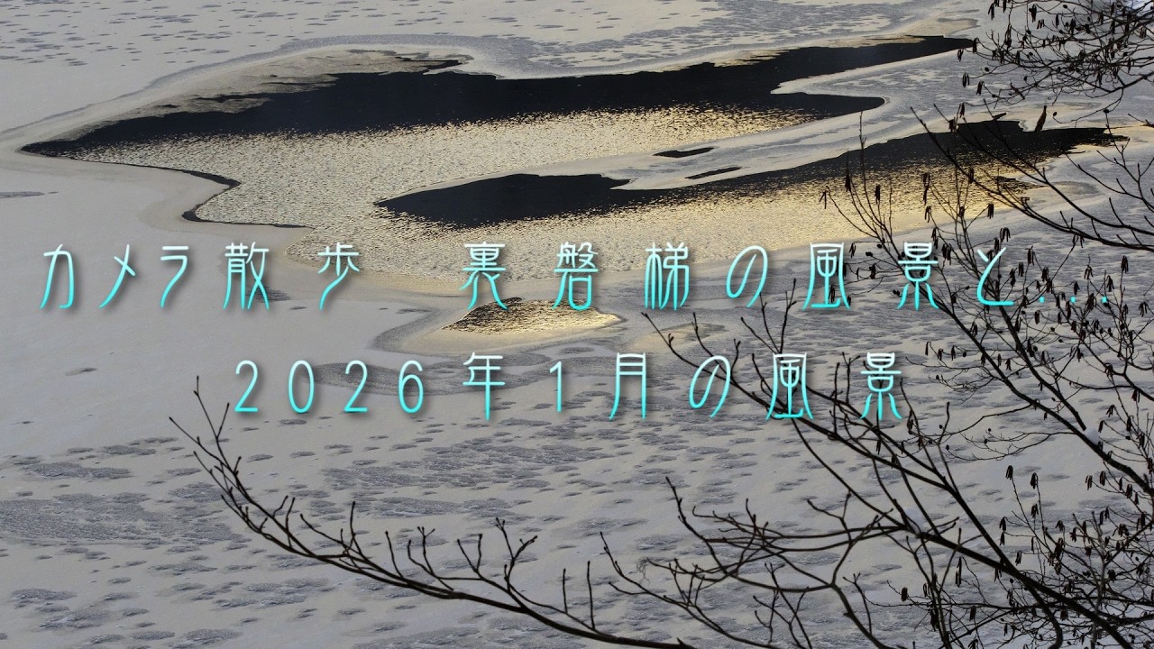 カメラ散歩　裏磐梯の風景と... 2026年1月の風景