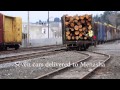 Coos bay rail link delivers log train