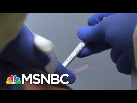 'Hopefully At The End This Year Or Early Next Year We Will Start Vaccinating' | Craig Melvin | MSNBC