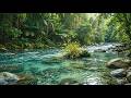 Natural River Ambience Sounds 🌿 Relaxing White Noise for Calm