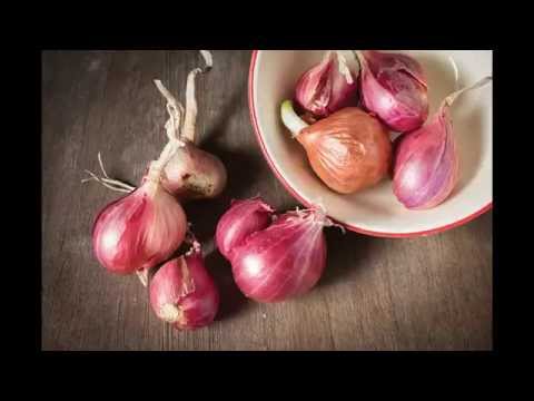 Video: Qhov Twg Ntxiv Shallots