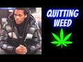 Quitting Weed 🍃 Check-in (ep. 11)