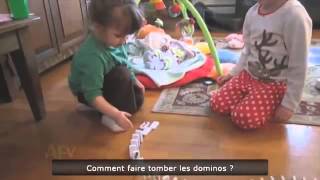 THE ULTIMATE NEW AUGUST 2014 EPIC FAIL   WIN COMPILATION 2014 PART 65 2